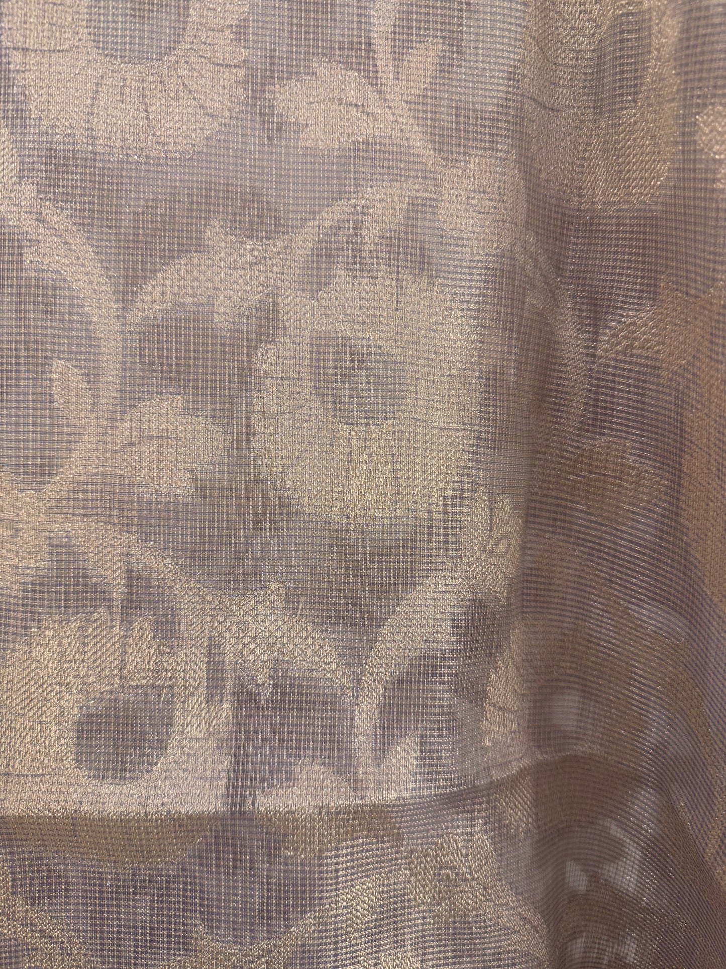 Jangla Gold Tissue Saree