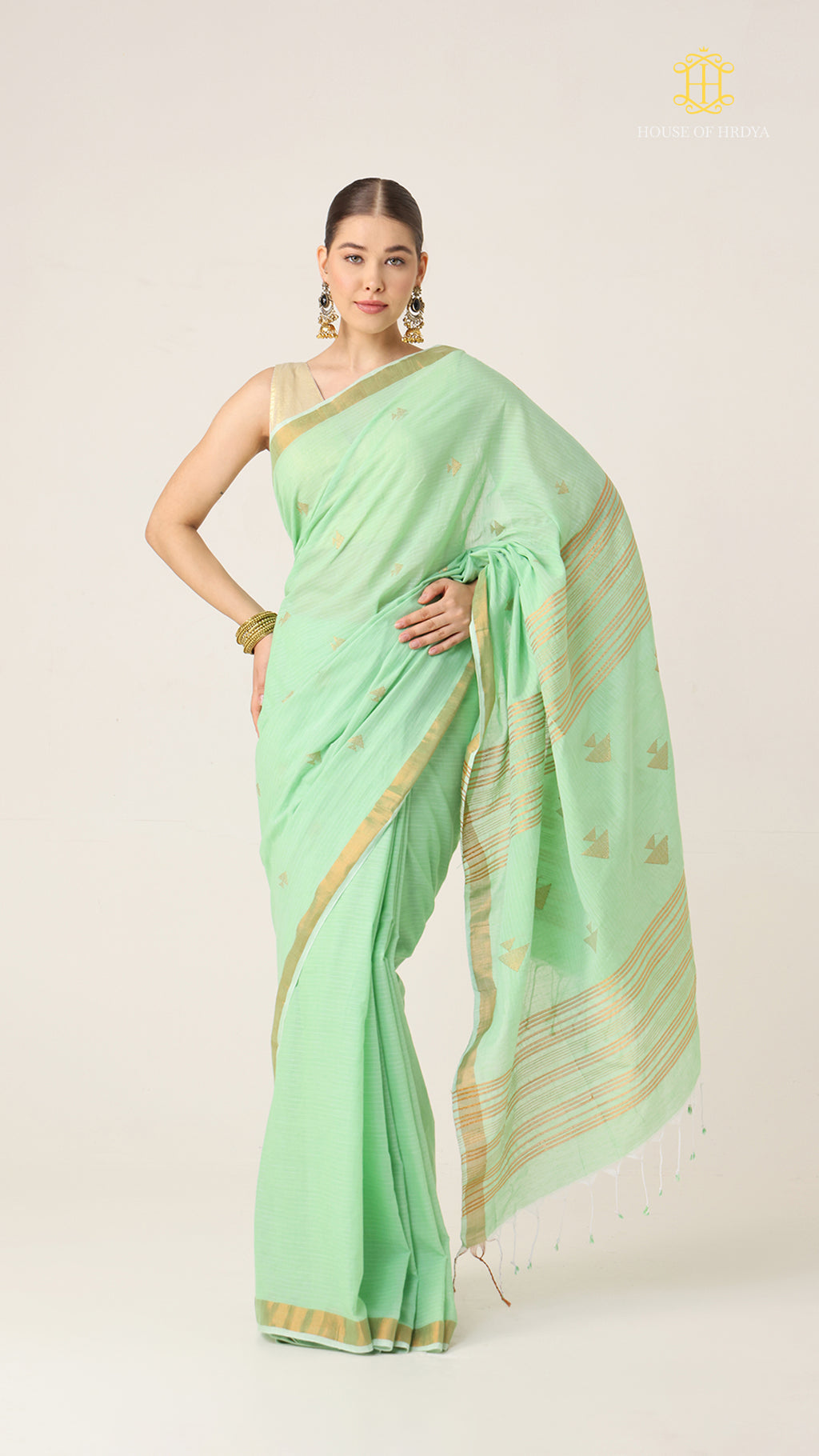 Nirva Aaroh Green Saree