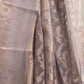 Jangla Gold Tissue Saree